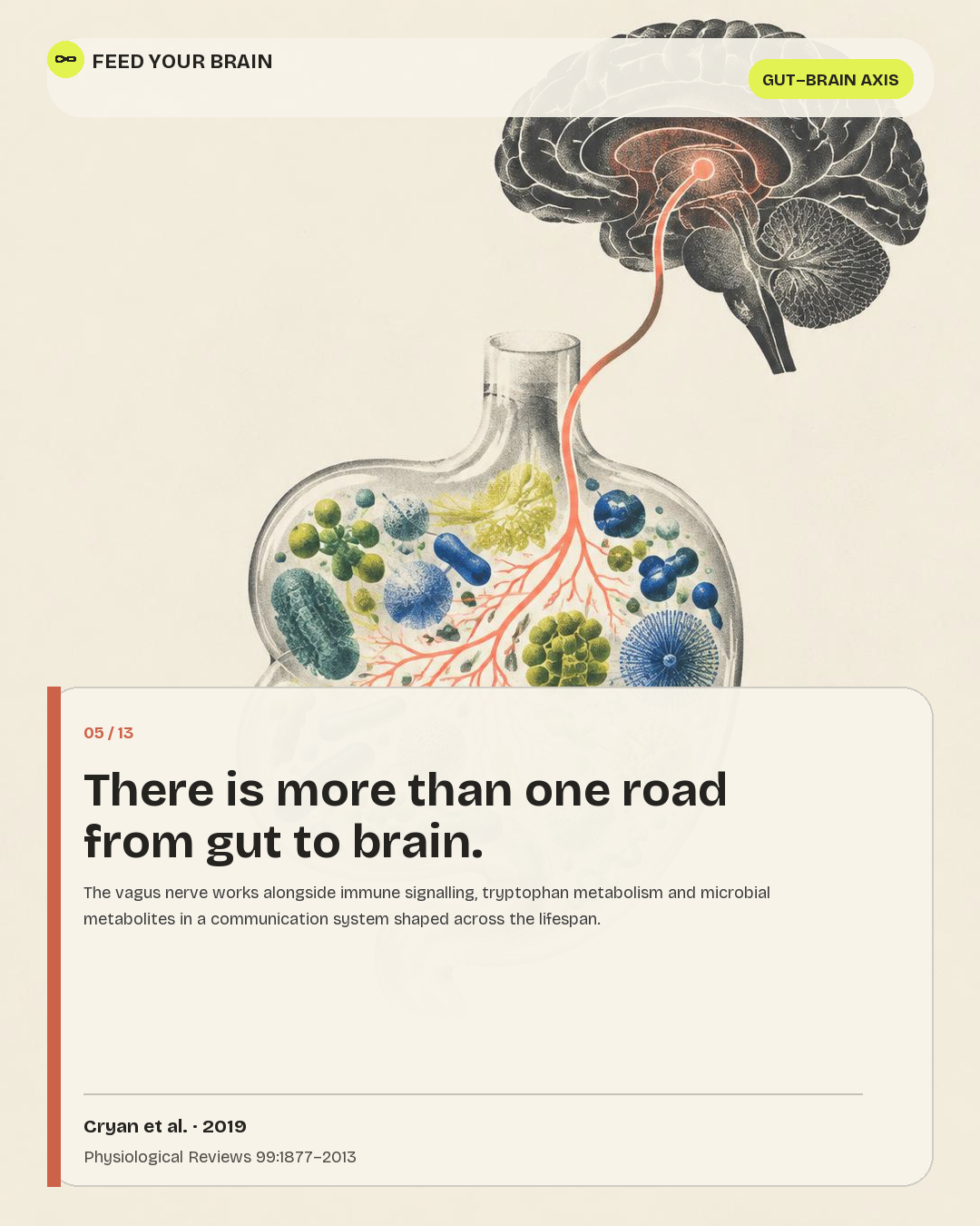 Illustrated post on the microbiota-gut-brain axis.